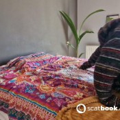 Goldenlace Transforming You Into Turd