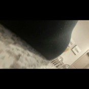 Gassytaylor Toilet Farts On The Job