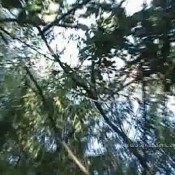 Ana Didovic What A Mess