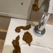 Iamkapri All You Can Eat Buffet Shit Blowout Kapri Styles