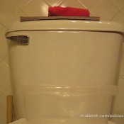 Peteusepoops Graphic 5-day Shitting Contest