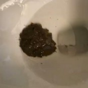 Lilstink211 Poop Diary 15 Shittykitty21