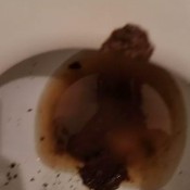 Lucysunflower Good Morning Poop Lucy SunFlower