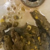 Elurasavage Corn Corn Cornelurasavage Corn Corn Corn