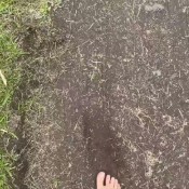 Janira Wolfe I Love My Dirty Foot Freaks