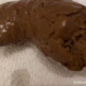 Tinaamazon Thick Log Tina Amazon