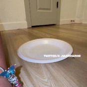 Julerri Amor Plate Of Shit For You