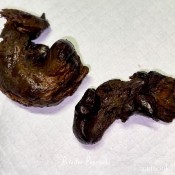 Pulsiferpaprocki Thick Turd Stretches Tiny Fit Blonde Ass Pulsifer Paprocki