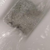 Xobunny3 Freshly Made XOBunnyXox