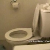 Ana Didovic - Toilet Spread