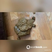 Arabscatgoddess You Have To See It To Believe It Miss Minxxx