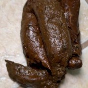 Asmr Style Poop Dirty_amberr