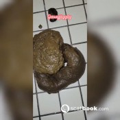 Mzjiggly Mzjigglygoddess You Already Know Taco Poop Gassyjiggly